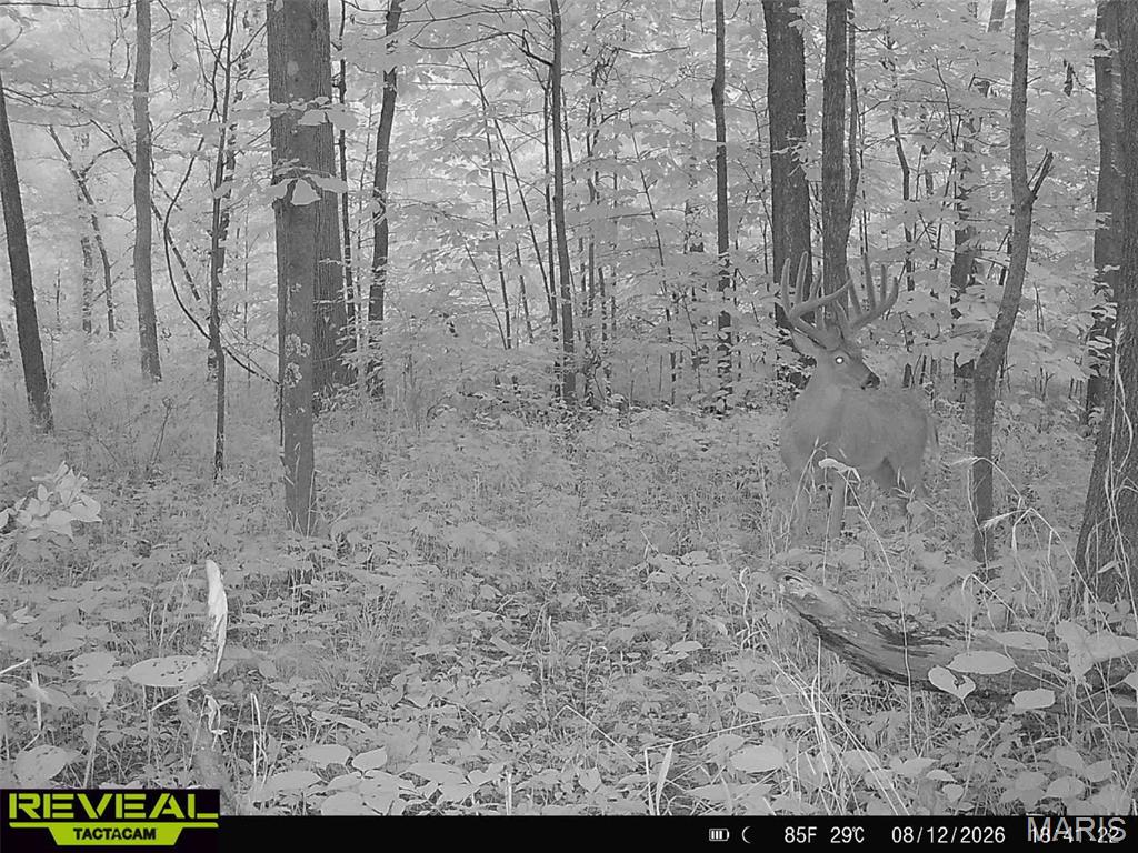 Photo of 10410 New Athens Darmstadt Road Lenzburg IL 62255
