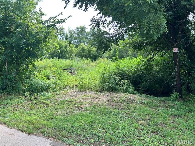 Photo of 0 County Road 32 Middlebrook MO 63656