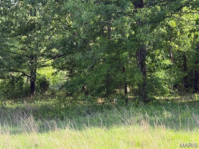 Photo of 00 Rainbow Poplar Bluff MO 63901