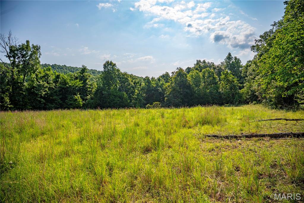 Photo of 160 County Road 203 Annapolis MO 63620