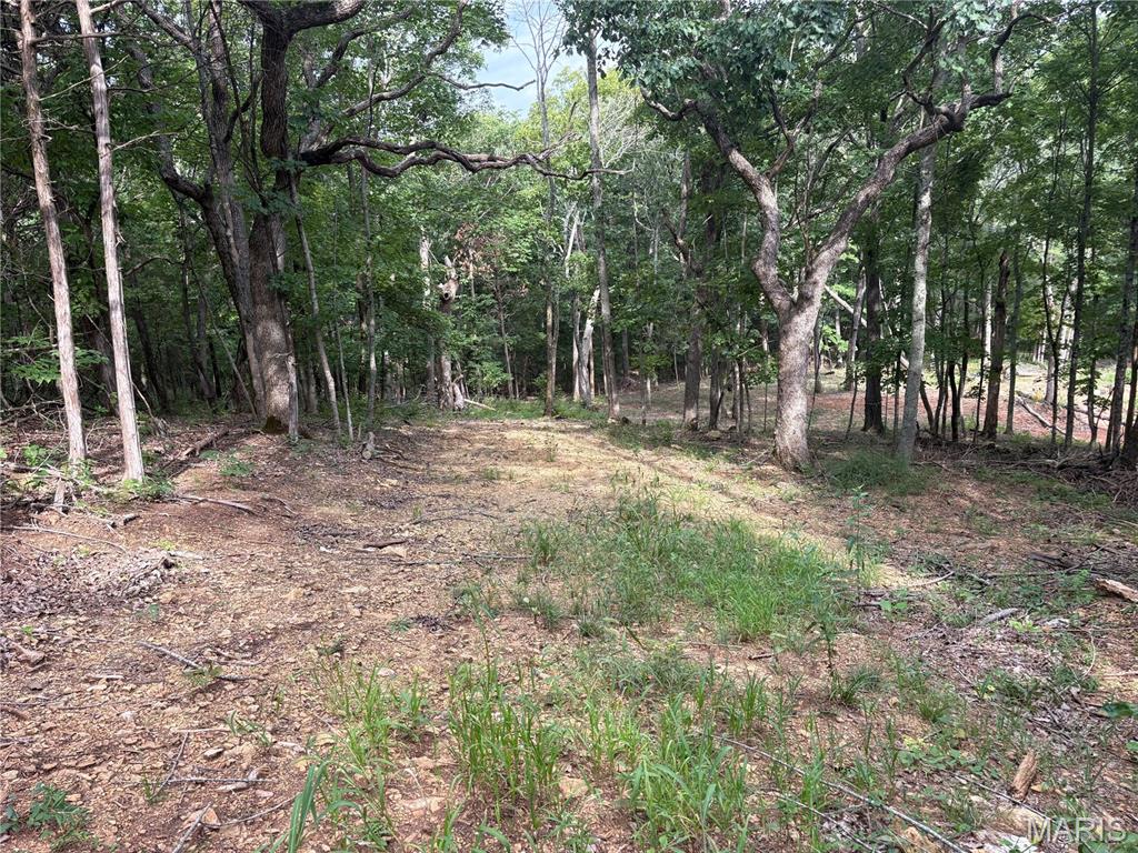 Photo of 1616 Timber Bluff Trail Pacific MO 63069