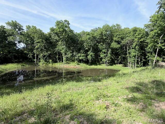 Photo of 16 Turning Leaf Lane Foley MO 63347