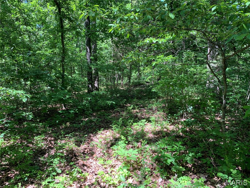Photo of 0 PCR 842 St Mary MO 63673