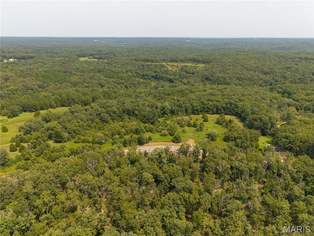 Photo of 0 State Highway 51 Marble Hill MO 63764