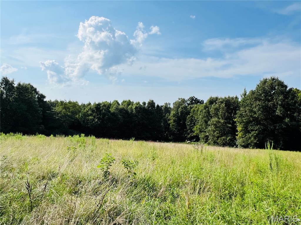 Photo of 0 County Road 646 Advance MO 63730