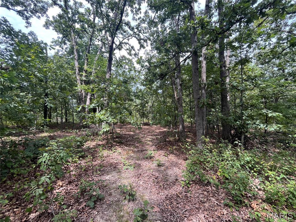 Photo of tbd Partridge Climax Springs MO 65324