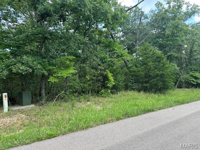 Photo of 483 Buzzard Rock Road Farmington MO 63640