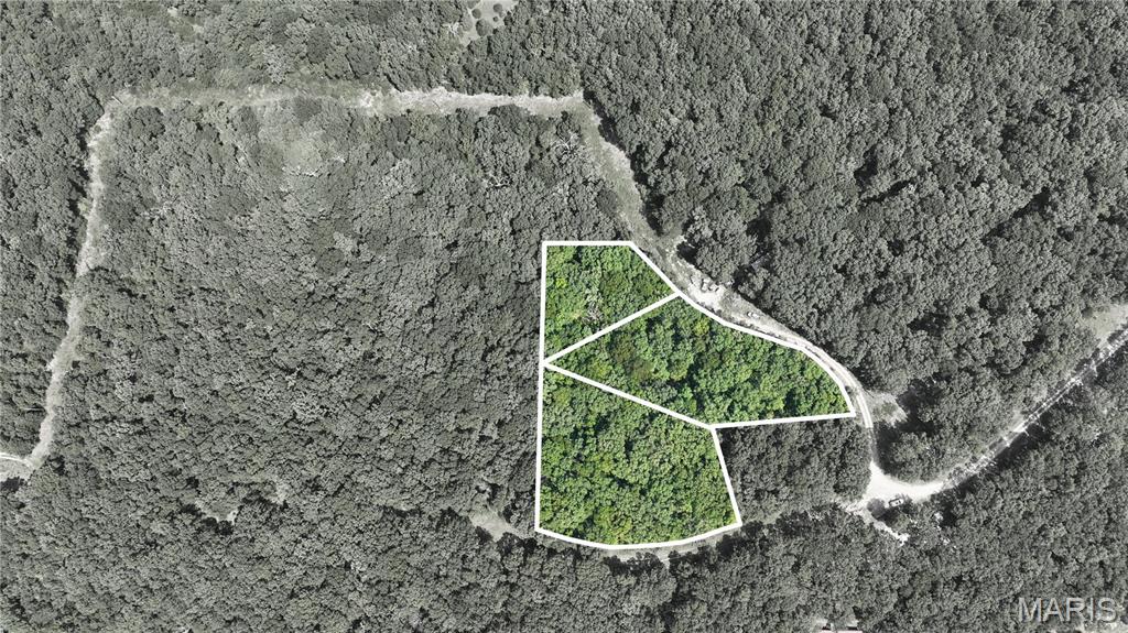 Photo of 0 Dellwood Court Lincoln MO 65338