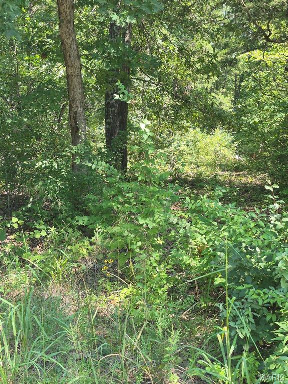 Photo of 9438 Cedar Drive Bonne Terre MO 63628