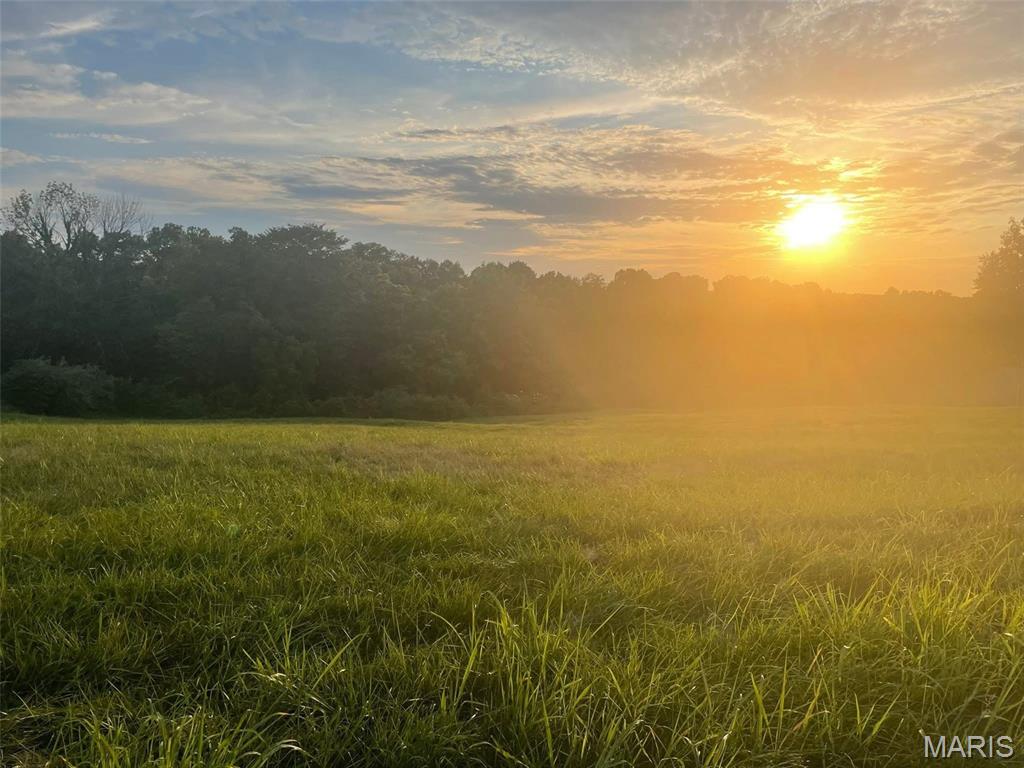 Photo of 0 Ridge View Jackson MO 63755