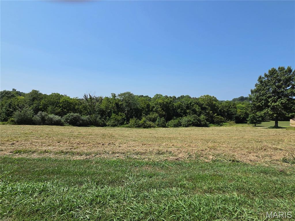 Photo of 0 Ridge View Jackson MO 63755