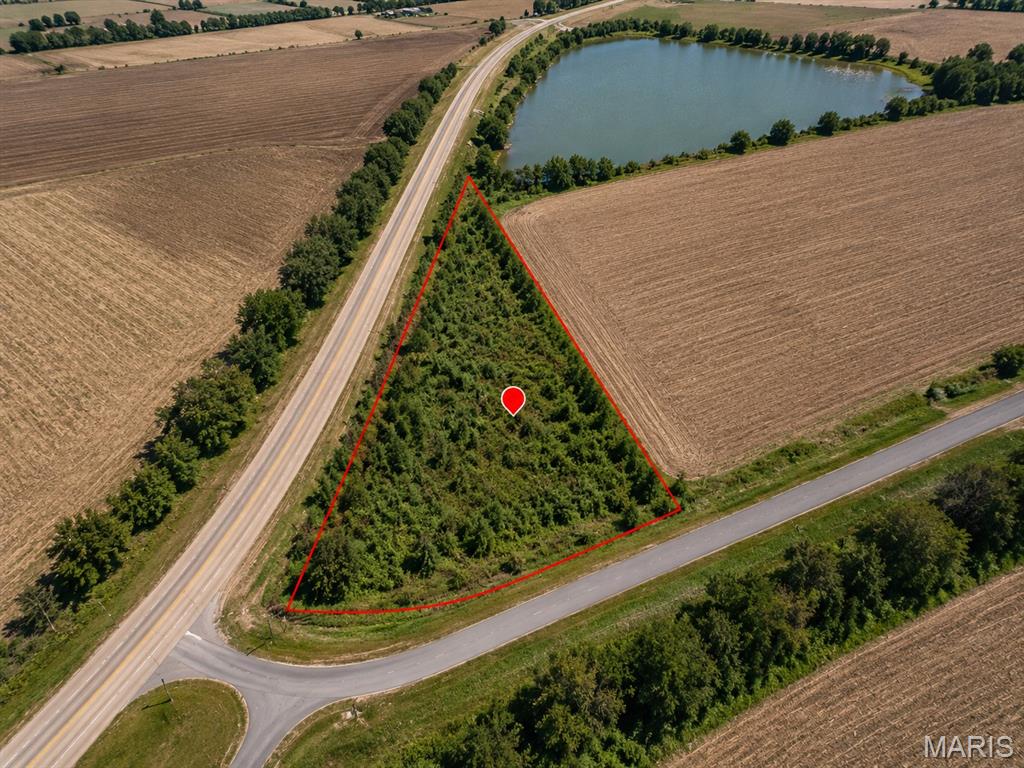 Photo of 0 Off Old Hwy 60 Dudley MO 63936
