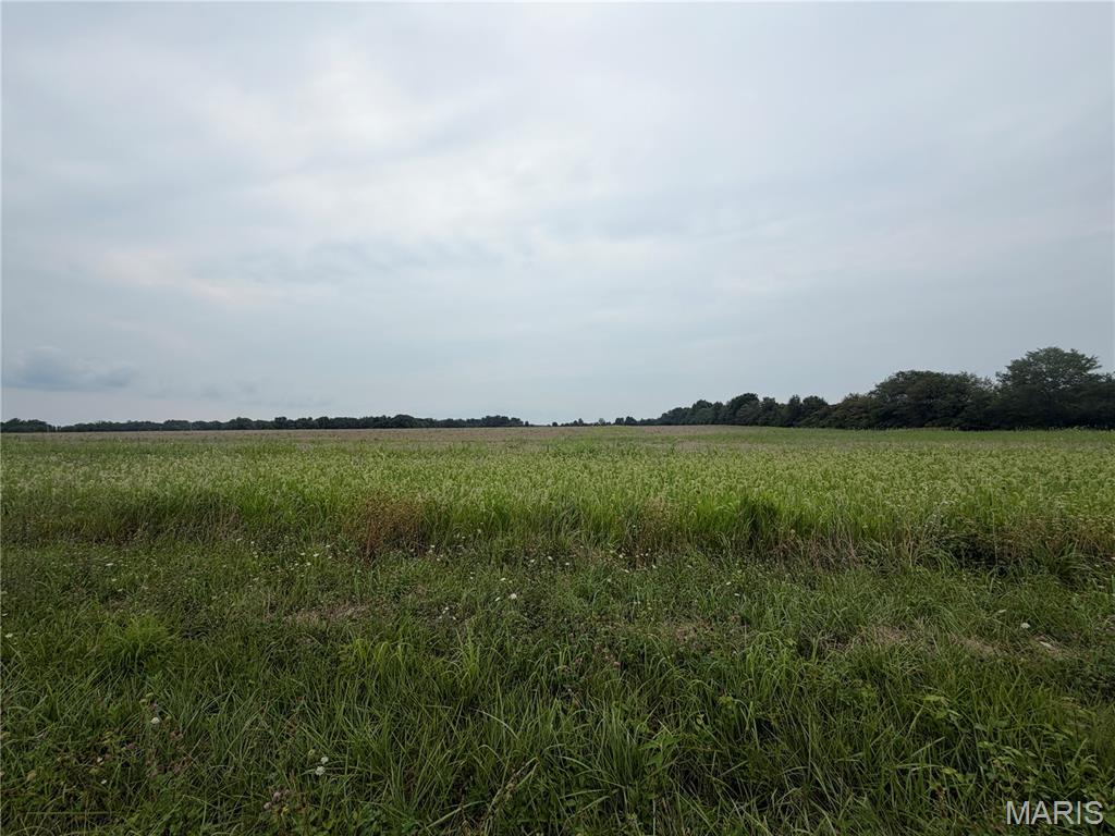 Photo of 12 Acres Hickory Lick Rd. Wright City MO 63390