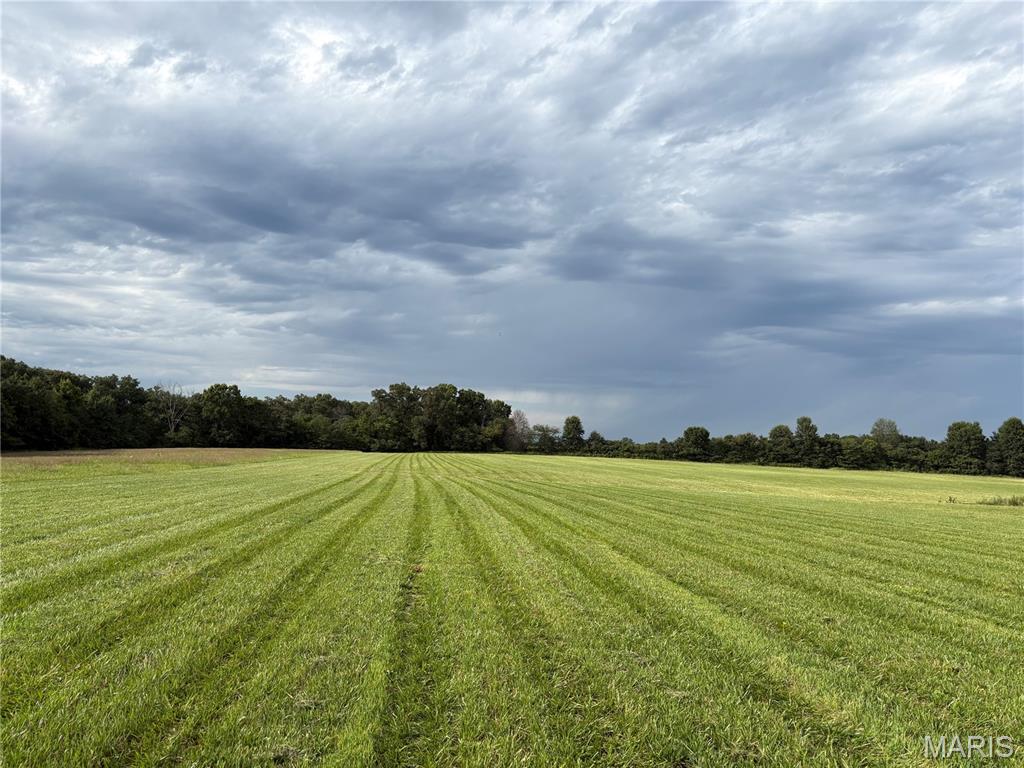 Photo of 12 Acres Hickory Lick Rd. Wright City MO 63390