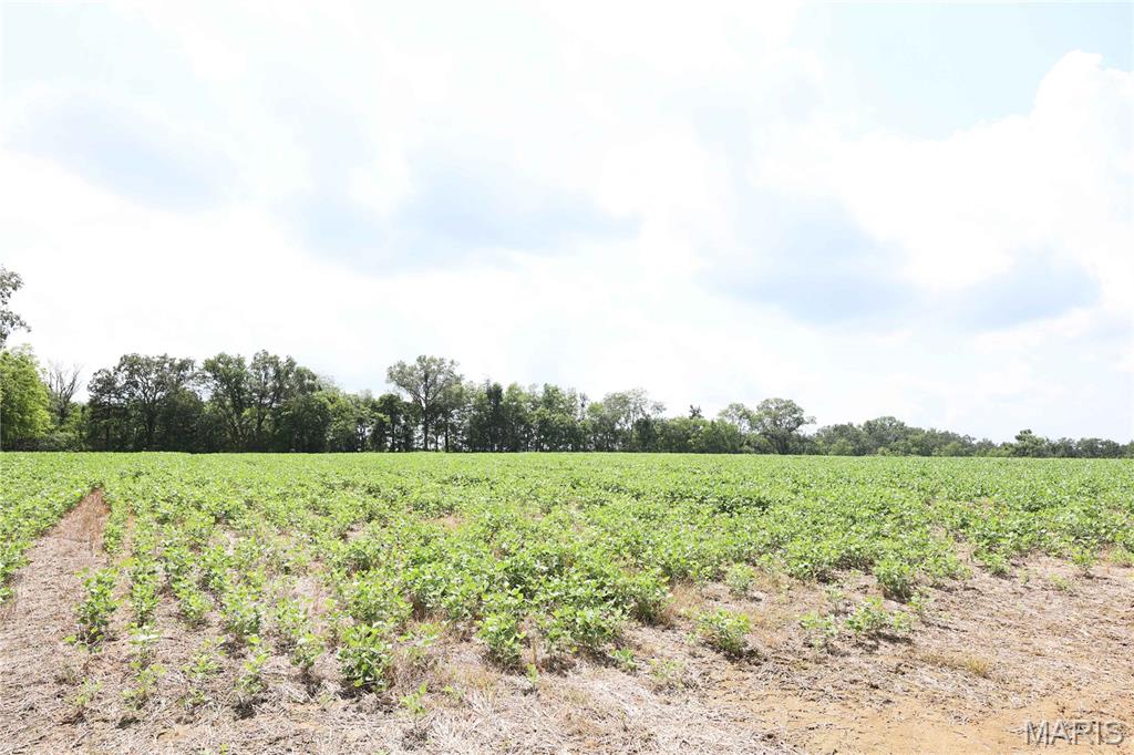 Photo of Off PCR 914 Lot 16 Perryville MO 63775