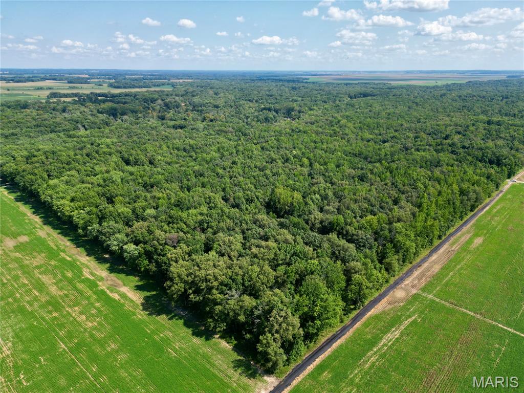 Photo of 00 County Road 2600 East Fairfield IL 62837