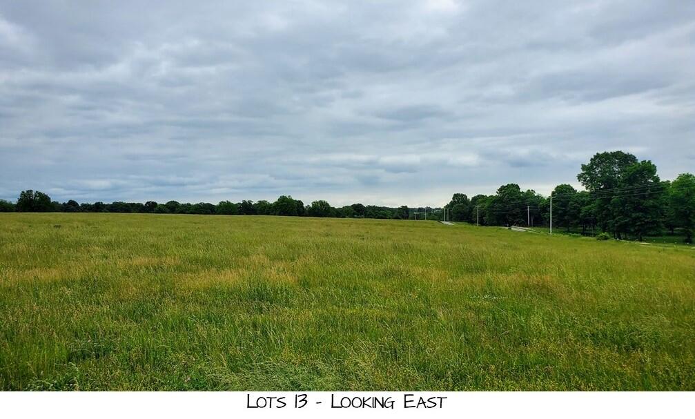 Photo of Lot 13 Prairie View Rd Brighton MO 65617