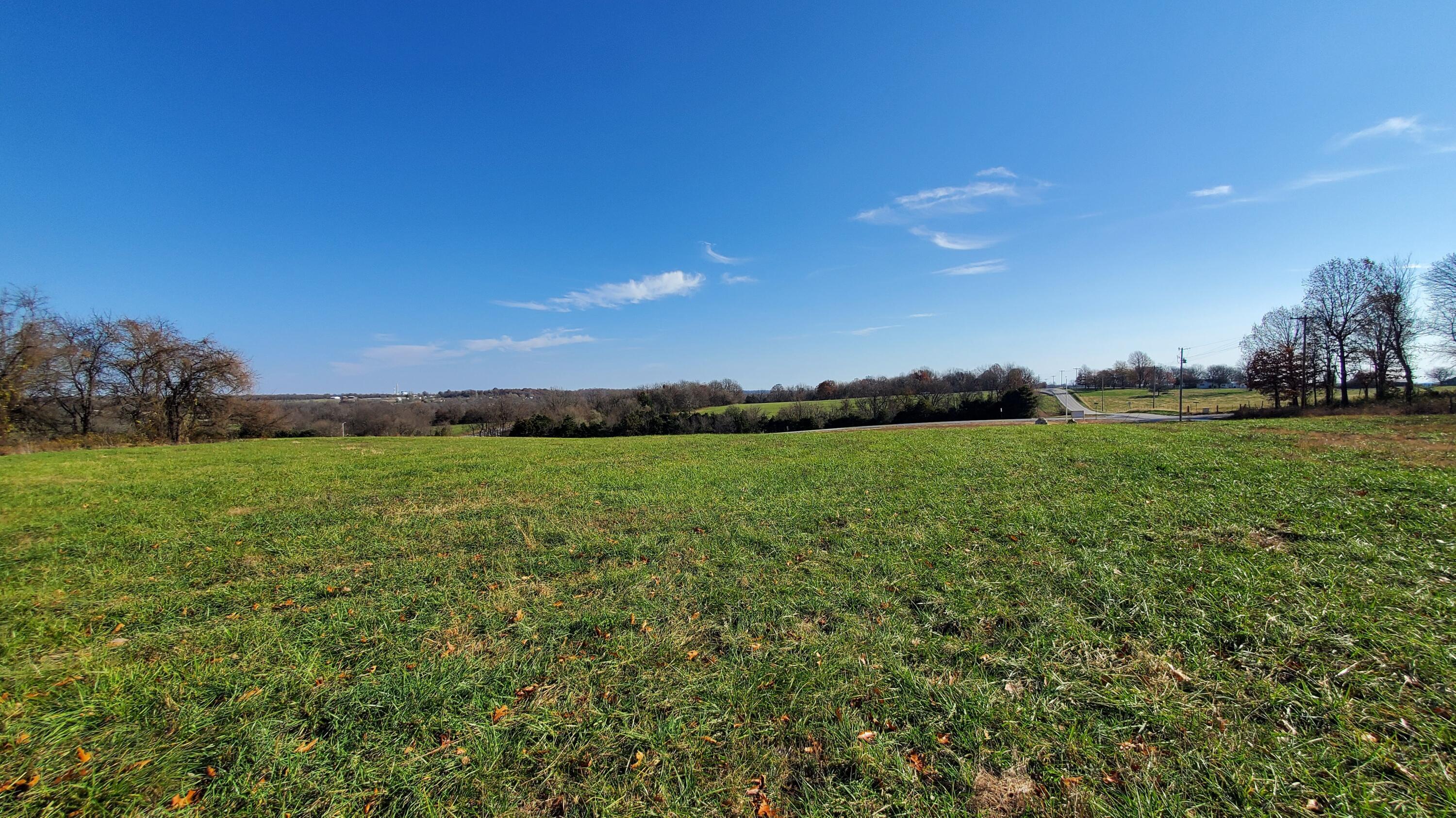 Photo of 6577 S Lock Lane #(Lot 1) Republic MO 65738