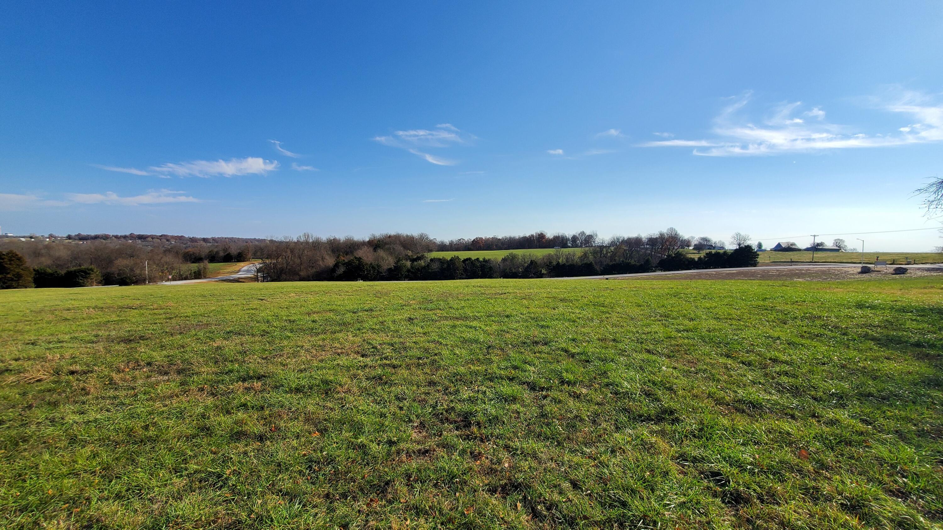 Photo of 6555 S Lock Lane #(Lot 2) Republic MO 65738