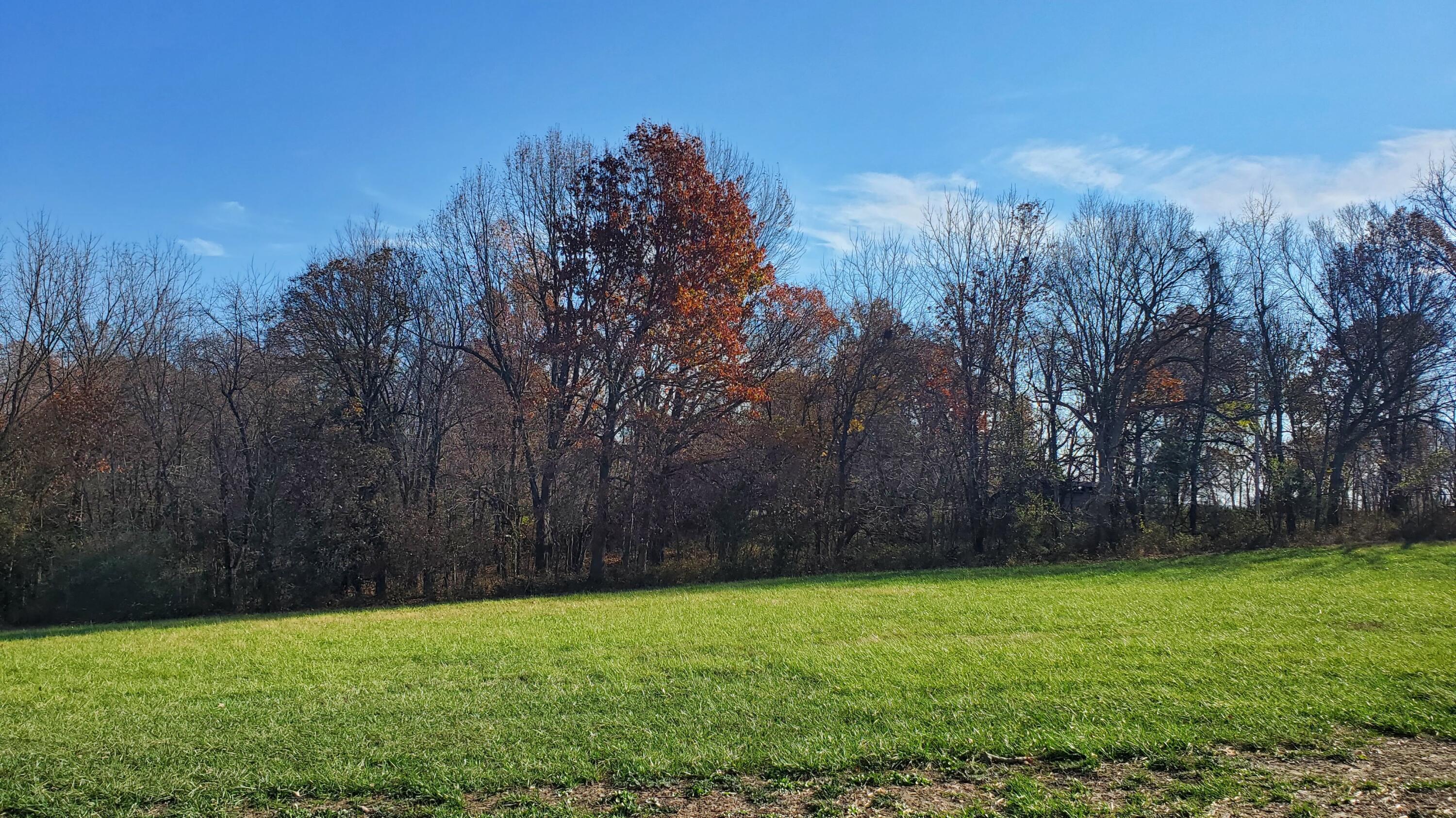 Photo of 6594 S Stock Street #Lot 10 Republic MO 65738