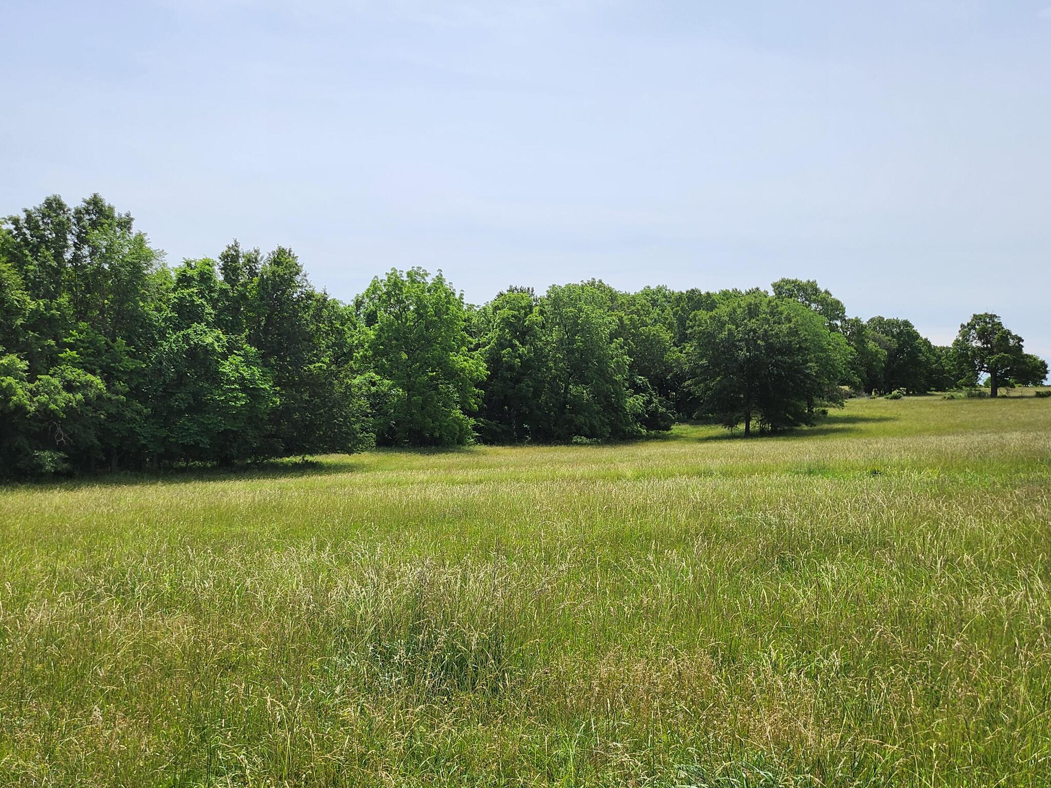 Photo of Lot 12 N Farm Road 61 Walnut Grove MO 65770