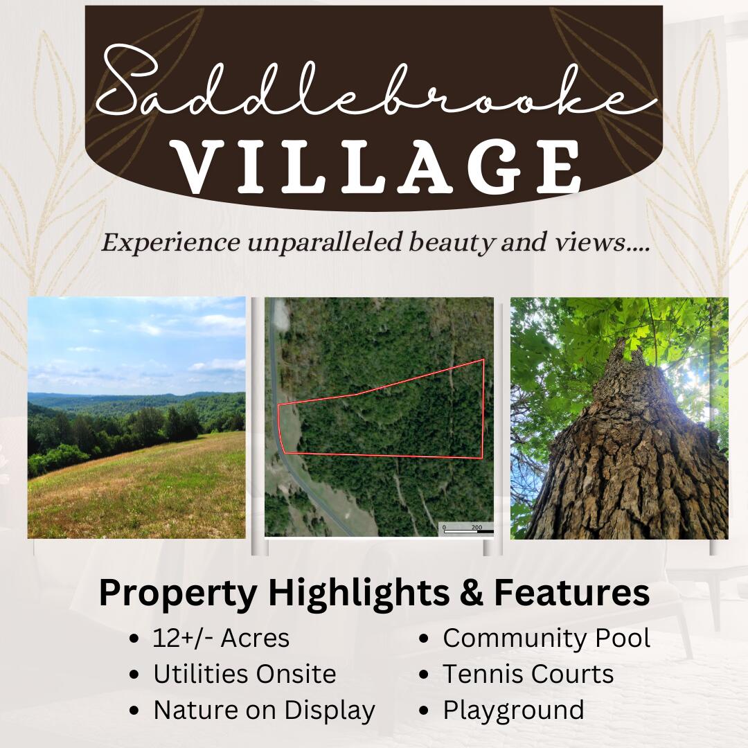 Photo of 408 Sunset Drive Saddlebrooke MO 65630
