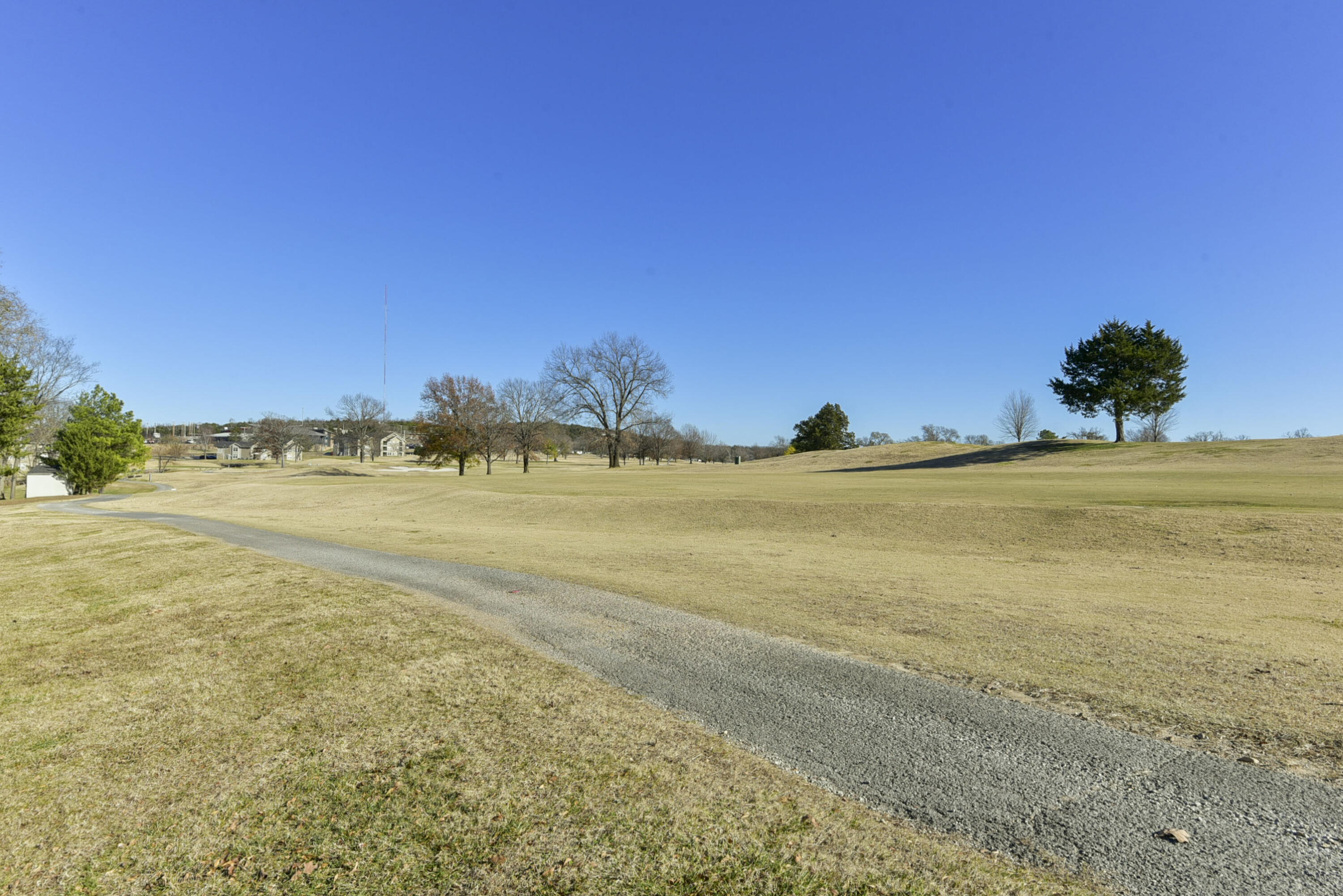 Photo of 192 W Rockford Drive #4 Branson MO 65616