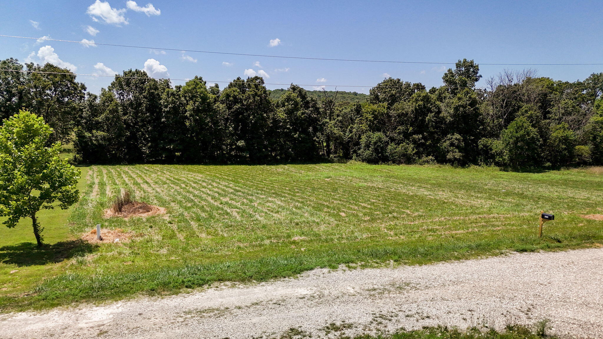 Photo of 2490 E 549th Road Buffalo MO 65622