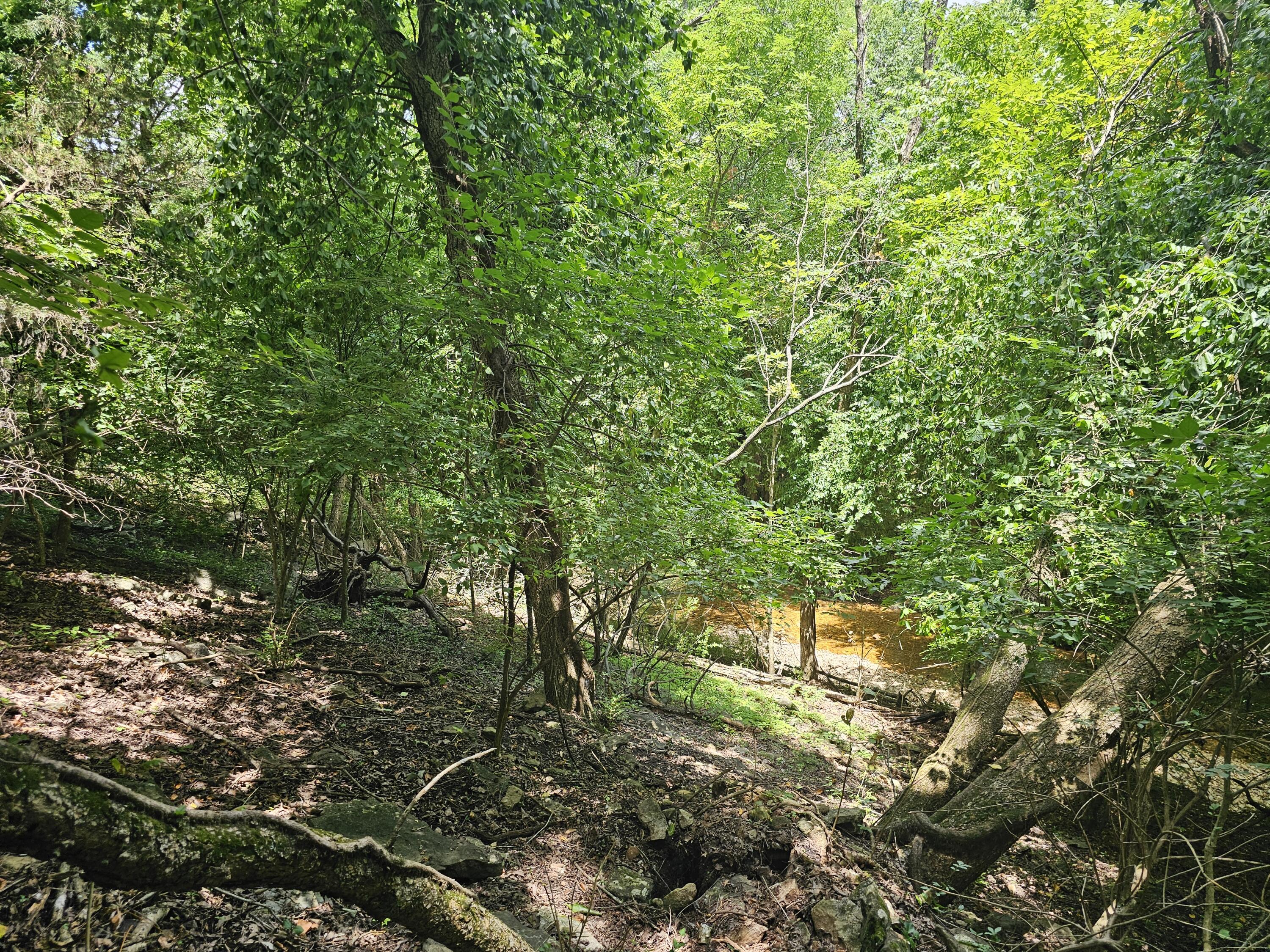 Photo of 3486 N Farm Road 143 Springfield MO 65803