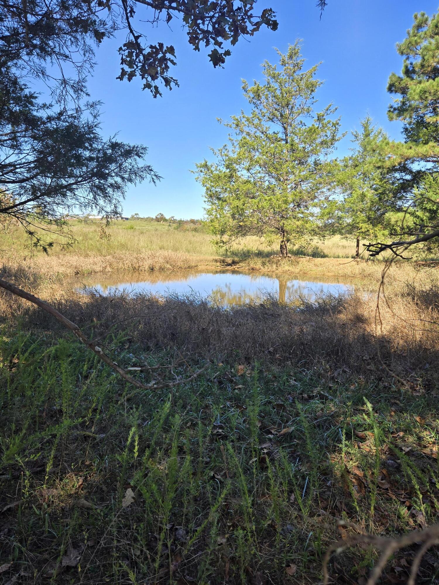 Photo of 000 County Road 455 Birch Tree MO 65438