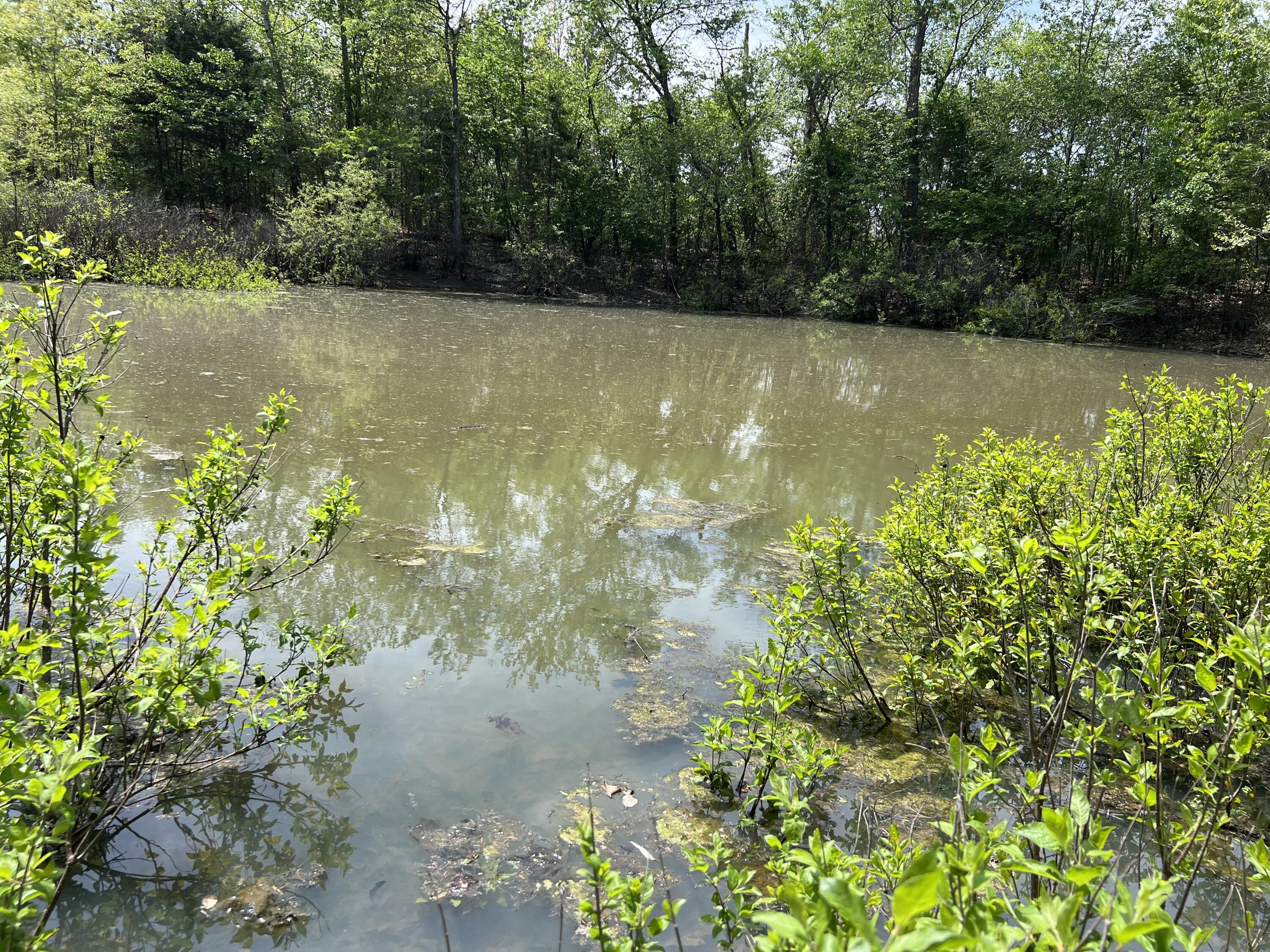 Photo of 000 County Road P-309 Alton MO 65606