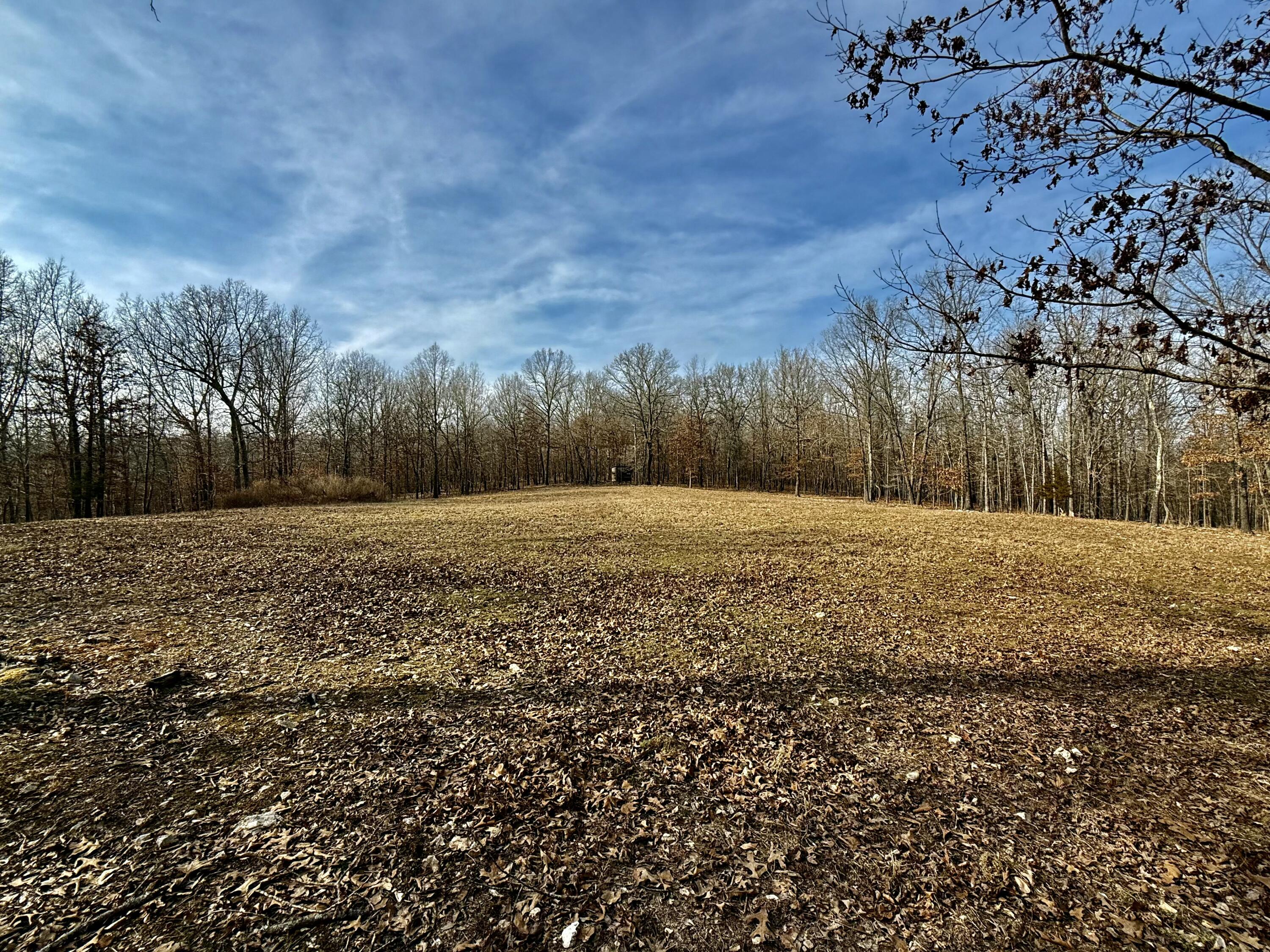 Photo of 2112 County Road 348 Thayer MO 65791