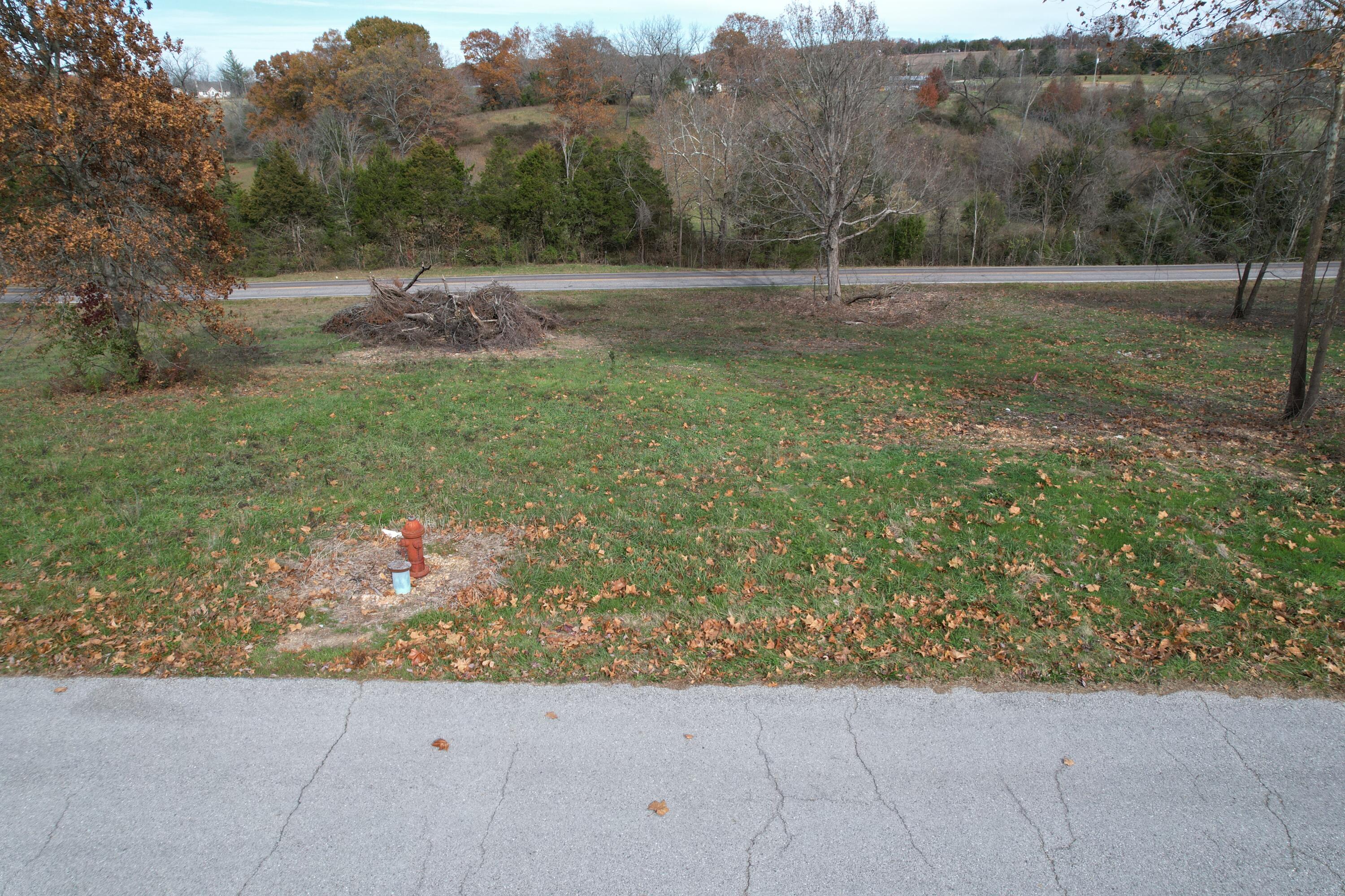 Photo of 8 Rodeo Lane Ava MO 65608
