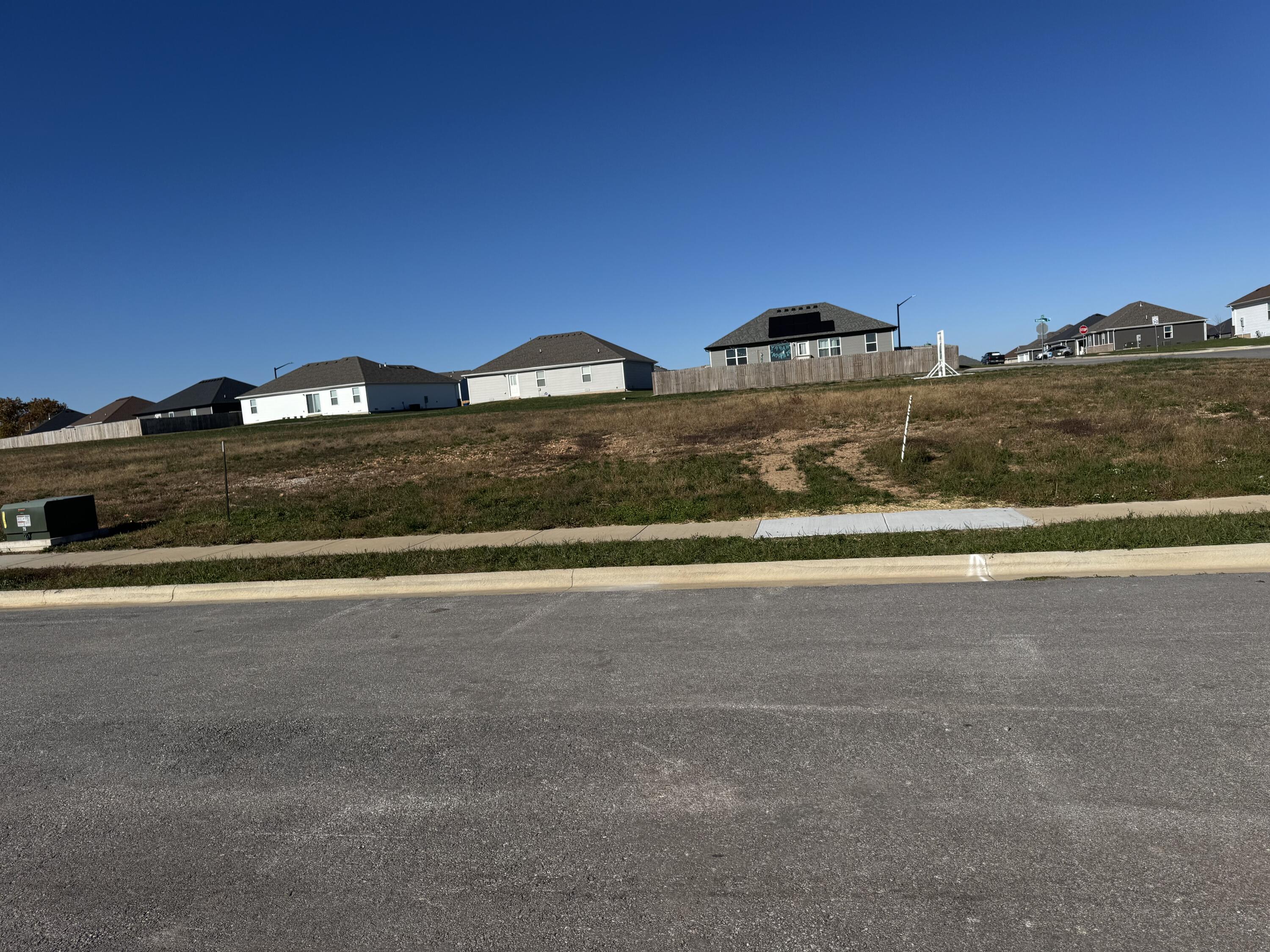 Photo of 1309 E Charlton Street Republic MO 65738