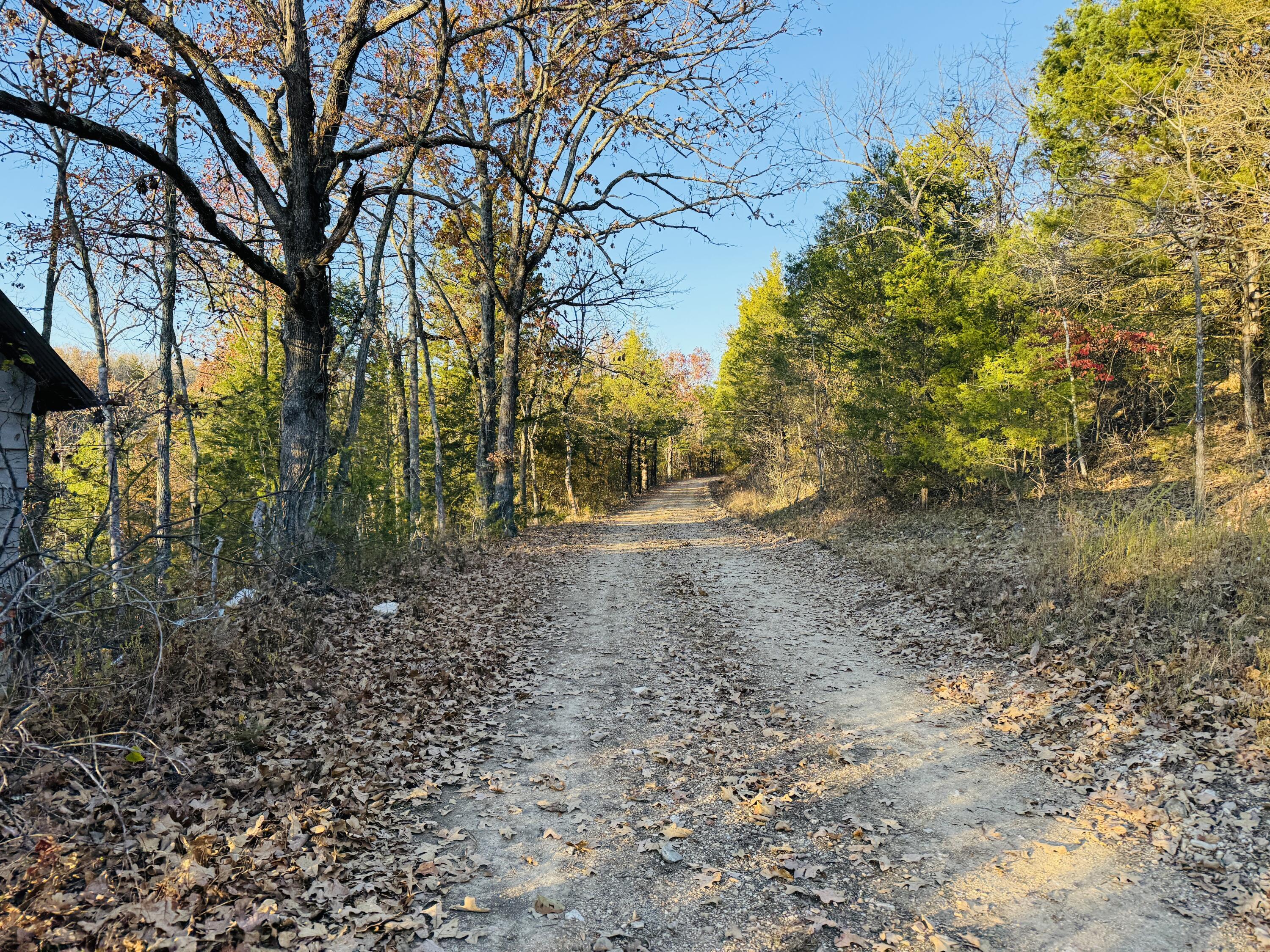 Photo of 000 County Road 871 Thornfield MO 65762