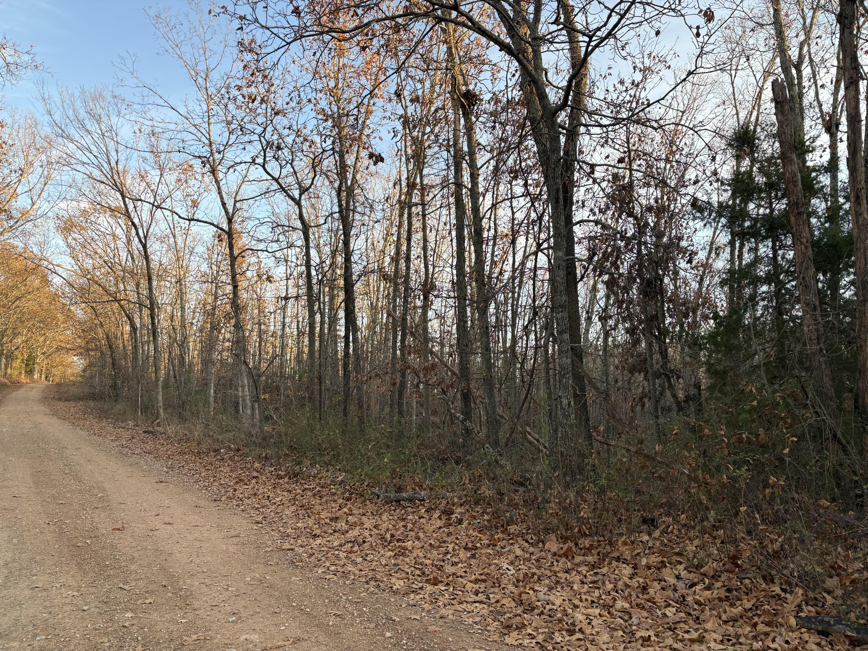 Photo of Tbd Hylton Drive Norwood MO 65717