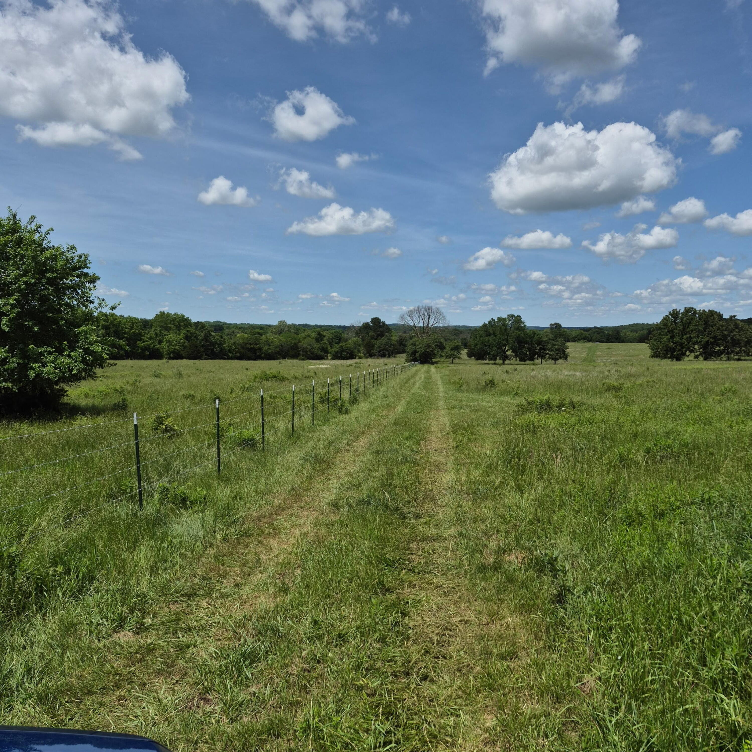 Photo of 26 Ac Us-160 Greenfield MO 65661