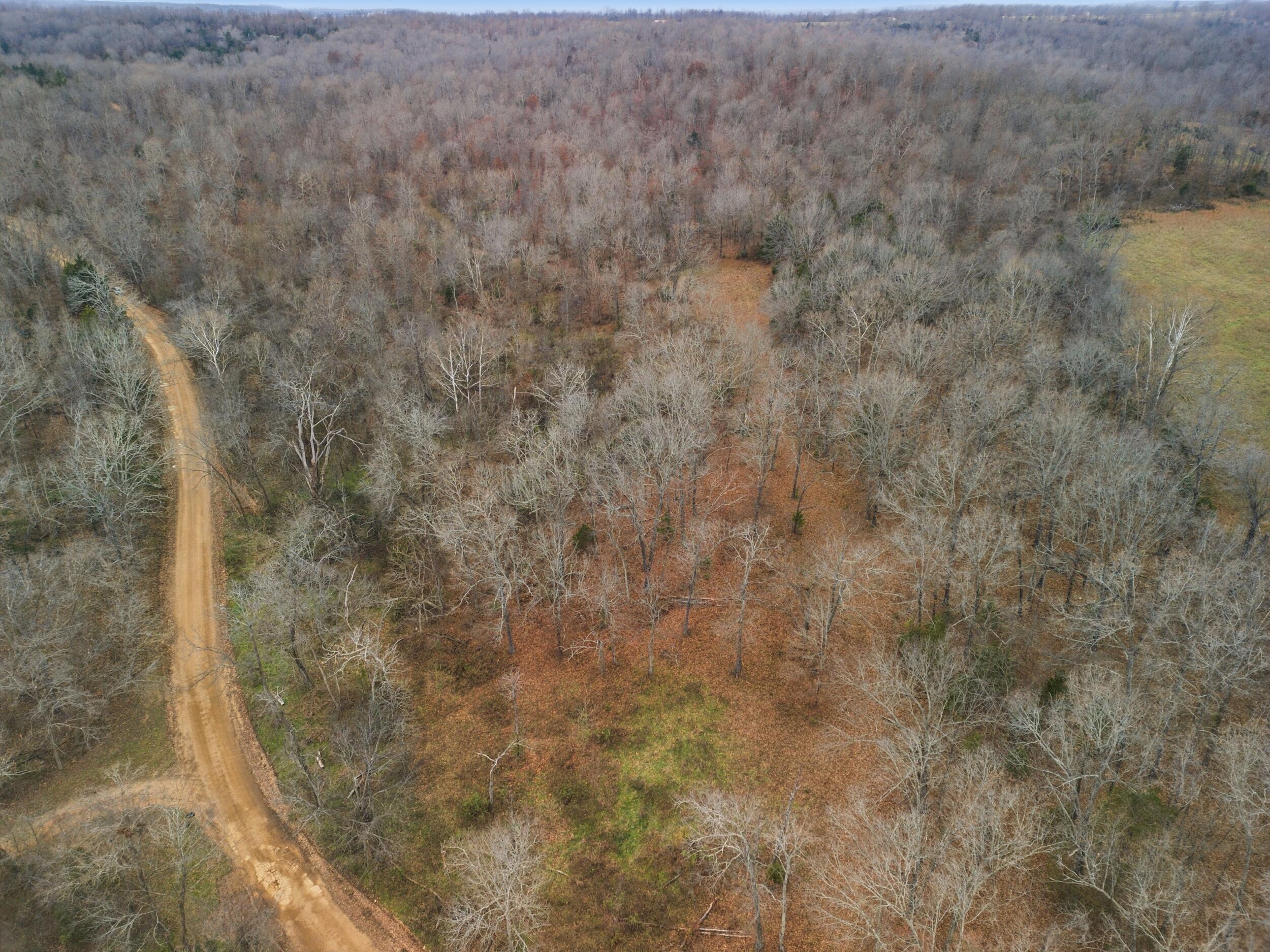 Photo of Tbd County Road 219 Thayer MO 65791