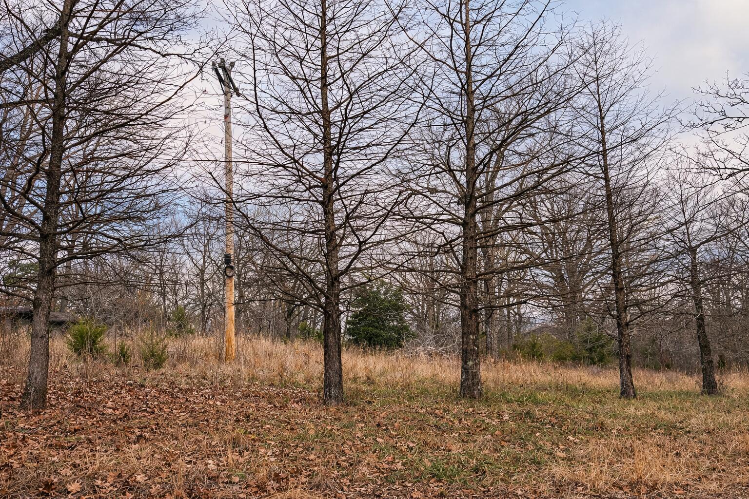 Photo of 000 Acres Road Williford AR 72482