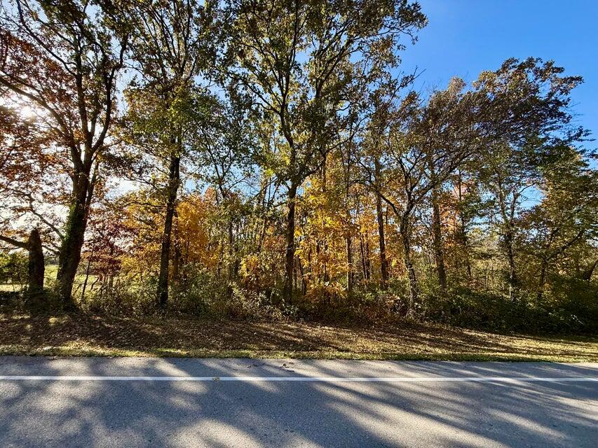 Photo of 000 Lilly Ave. Avenue Houston MO 65483