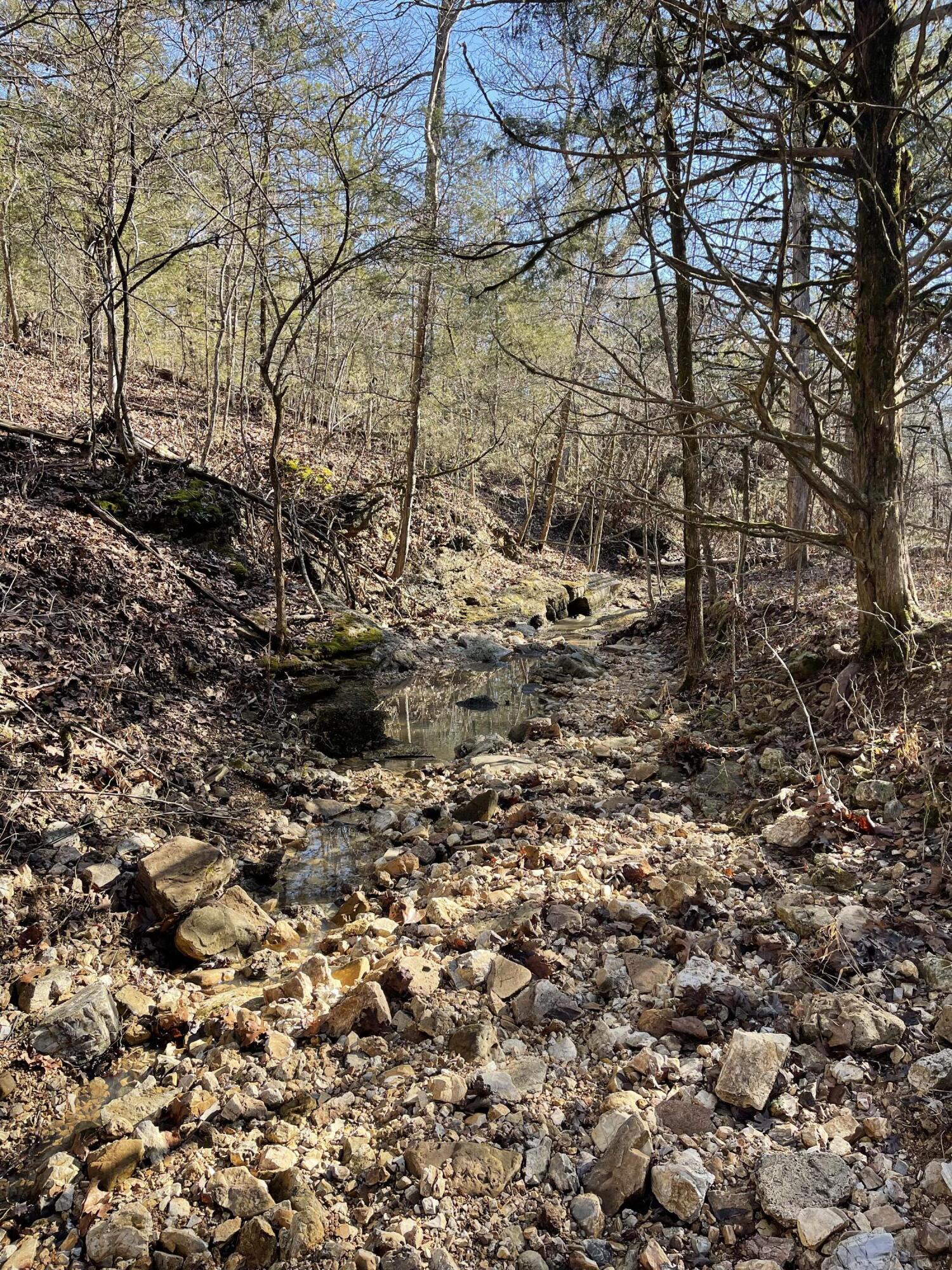 Photo of 000 Us Hwy 160 Gainesville MO 65655