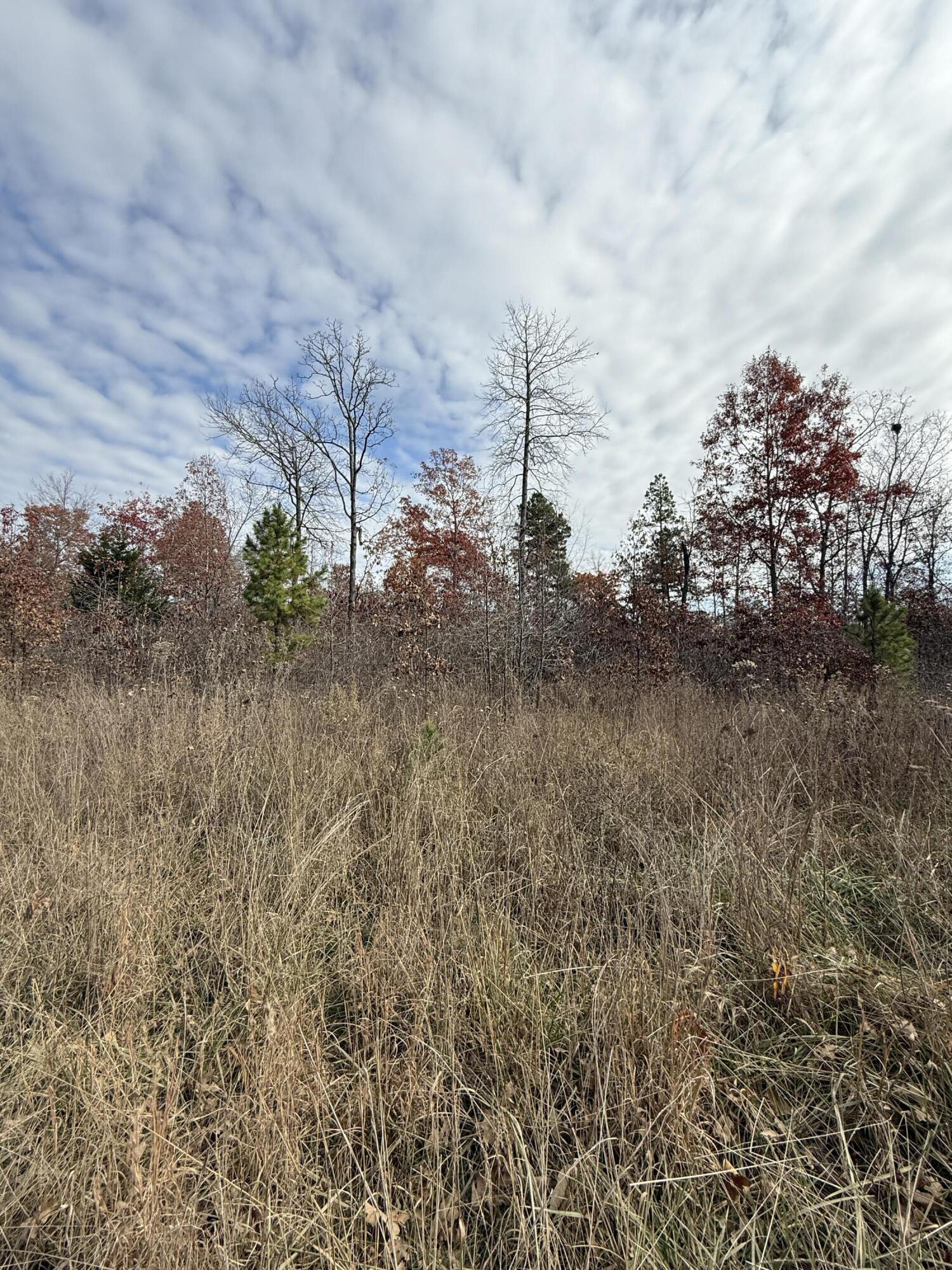 Photo of 000 Forest Road 3169 Winona MO 65588