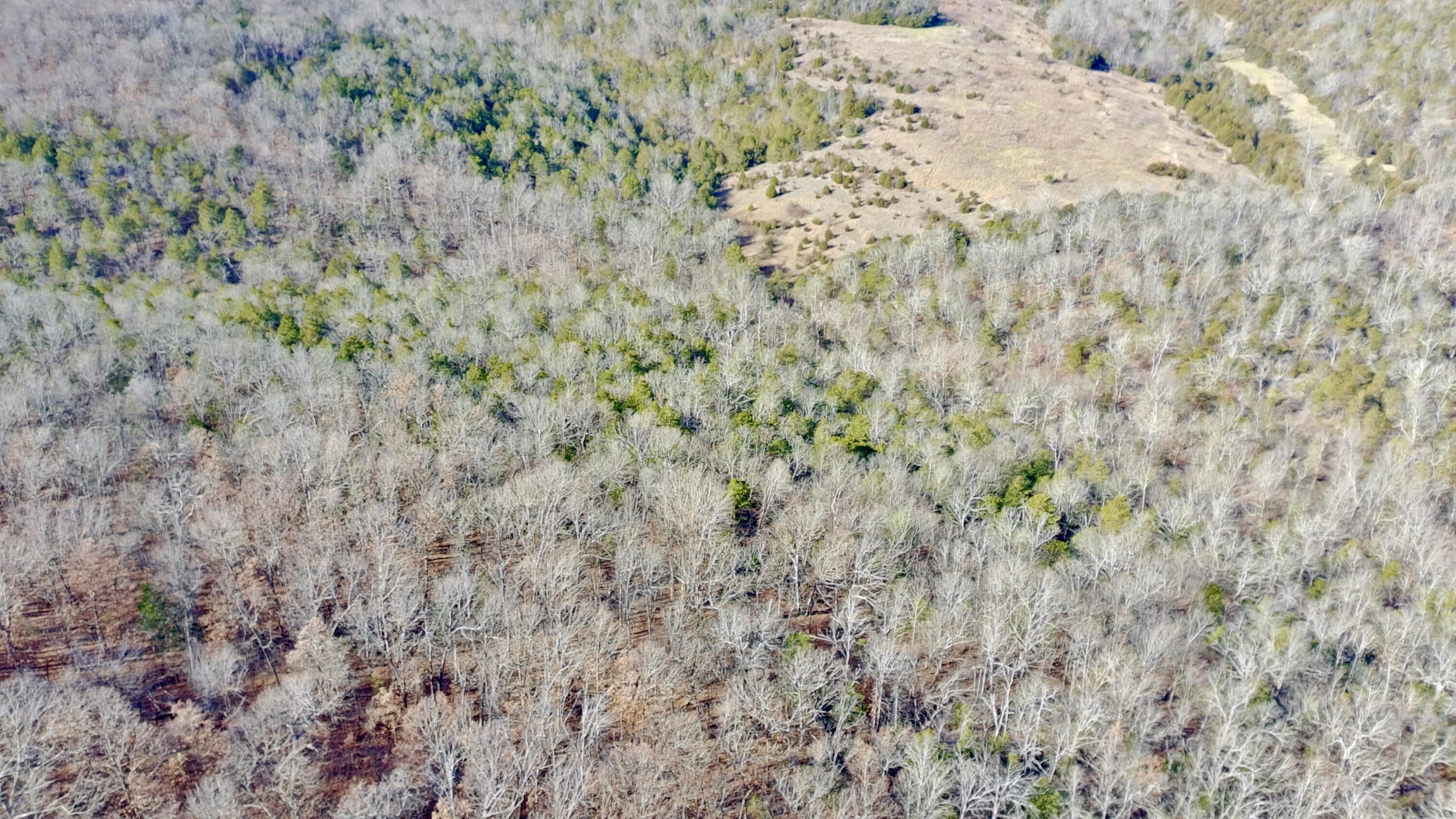 Photo of 000 Flowstone Ln Gainesville MO 65655