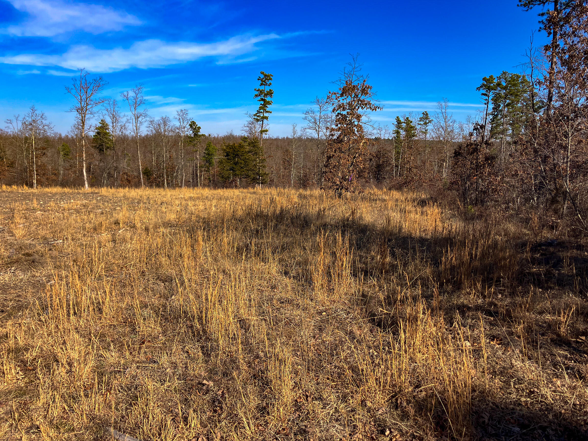 Photo of 7187 Highway Kk Hartshorn MO 65479