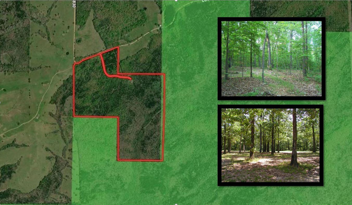Photo of 000 County Road 830 Thornfield MO 65762