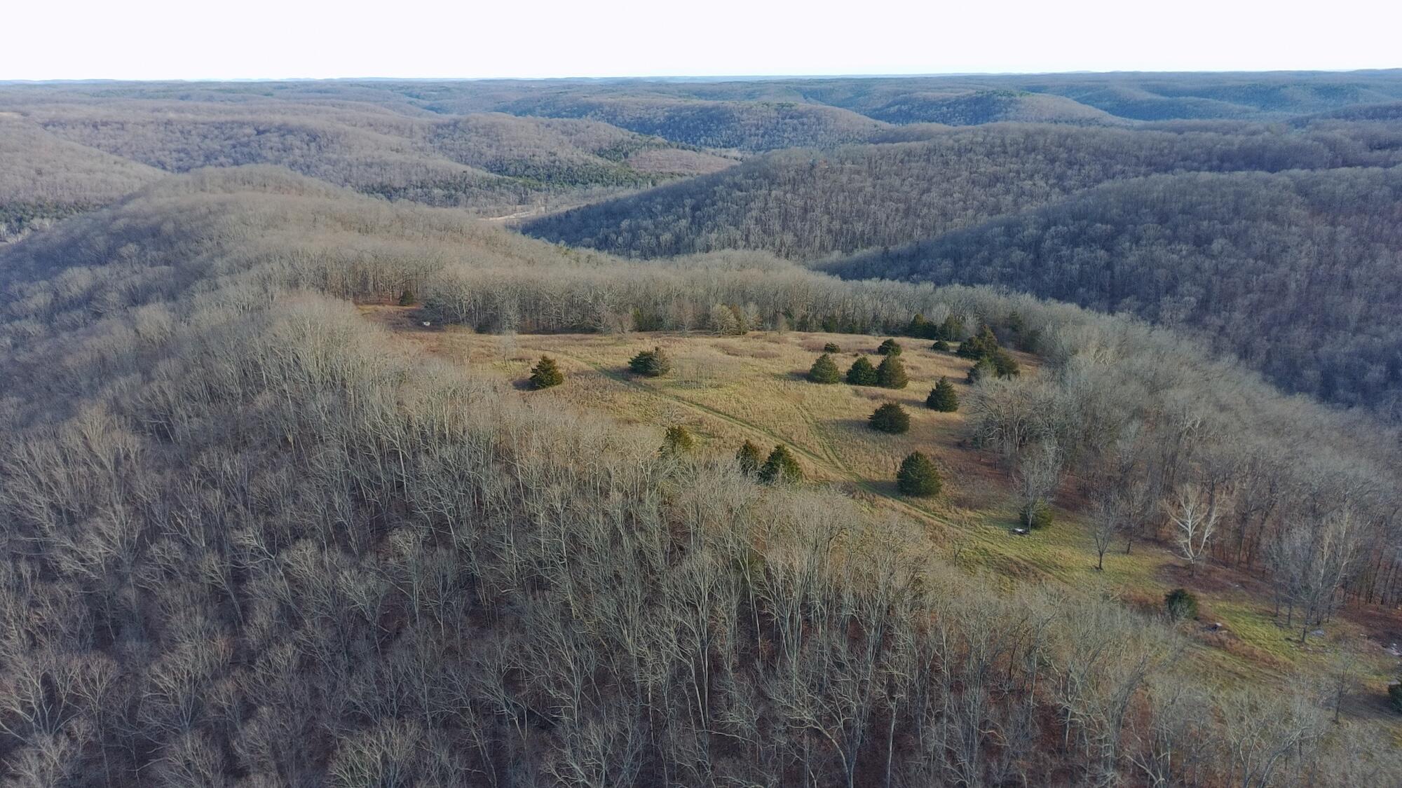 Photo of 406 Red Bridge Rd Ozark MO 65721