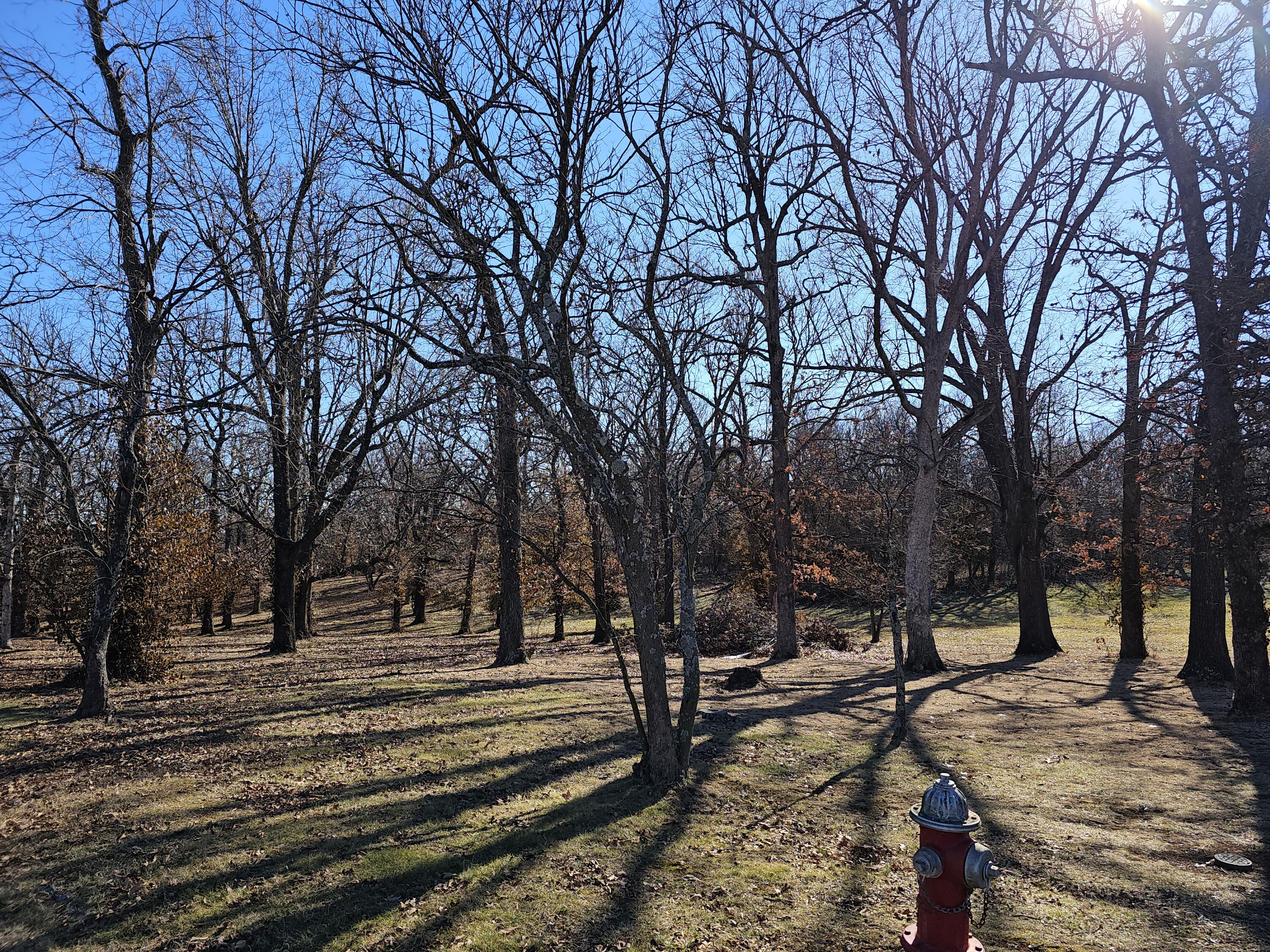 Photo of 000 Redbud Place Monett MO 65708