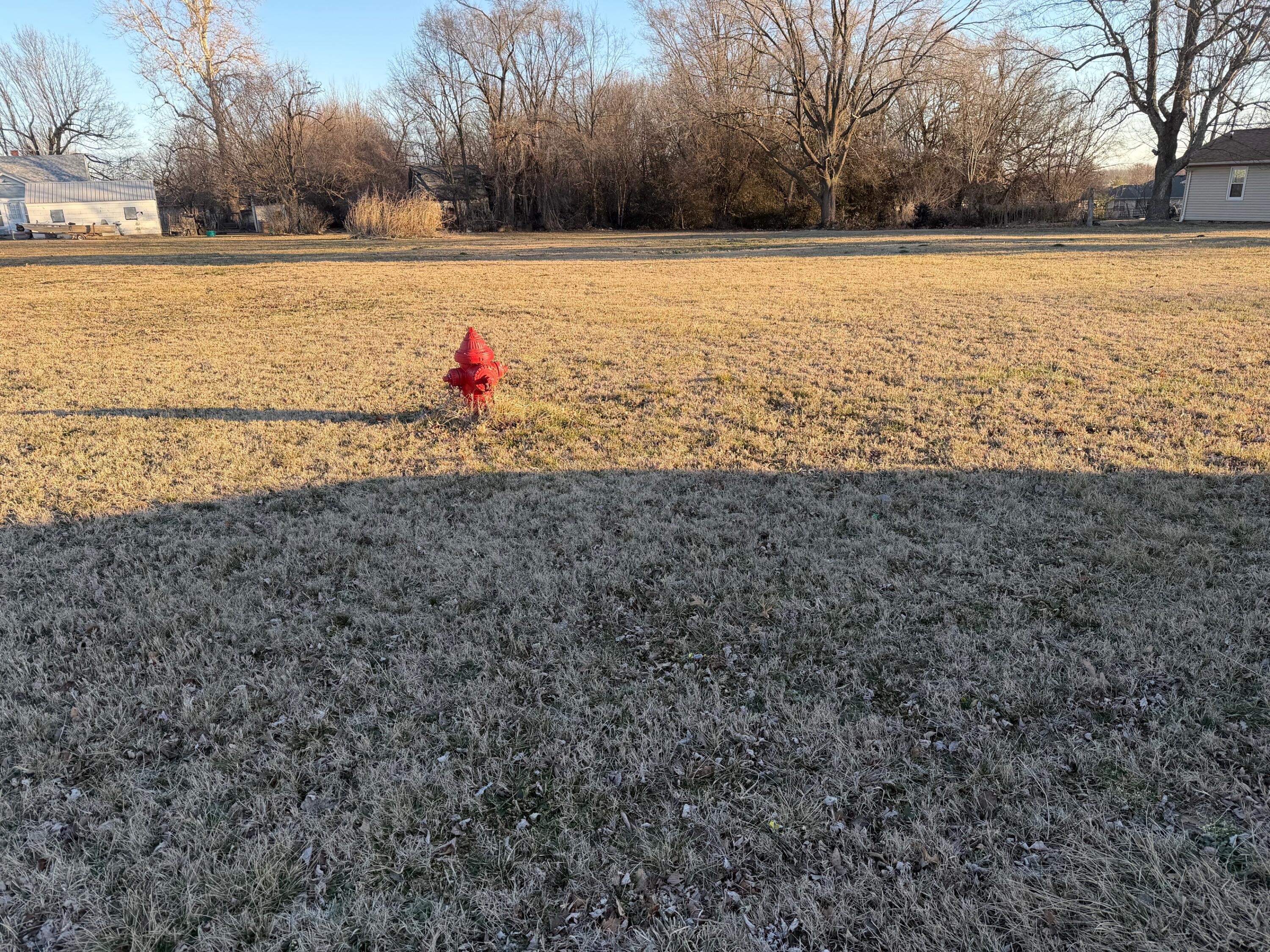 Photo of 203 W Brown Street Clever MO 65631