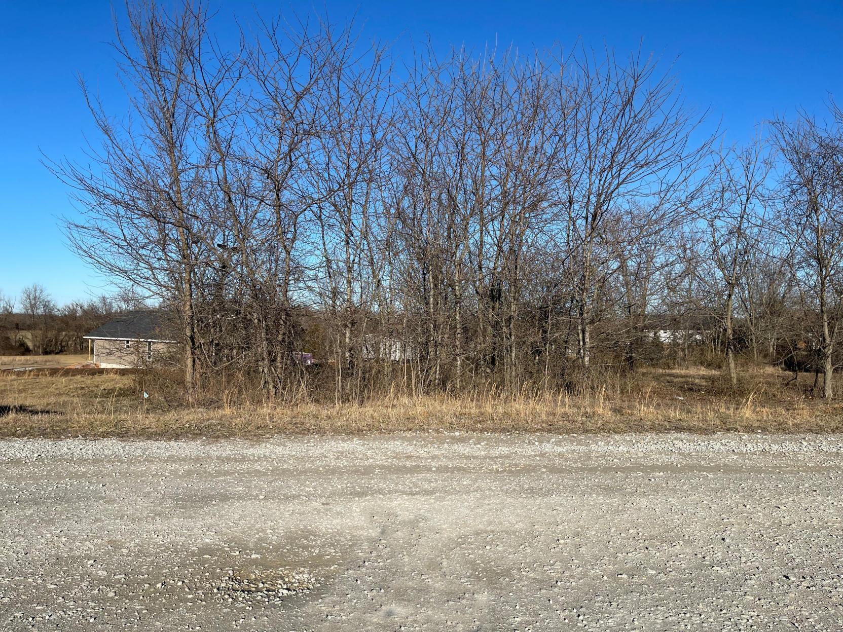Photo of 000 Blockade Village North Seligman MO 65745