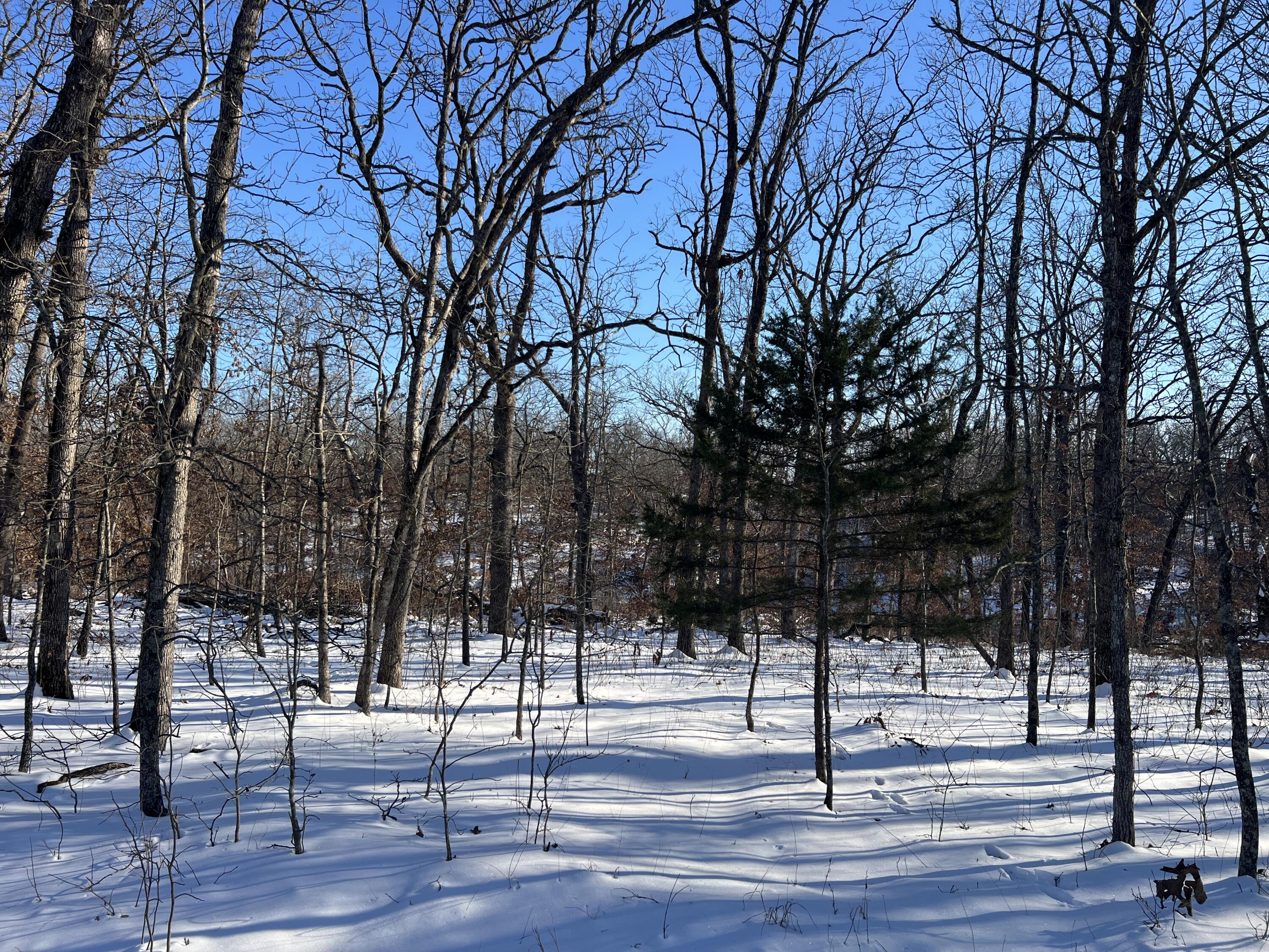 Photo of 000 Partridge Drive Climax Springs MO 65324